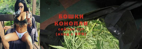 гидра Магас