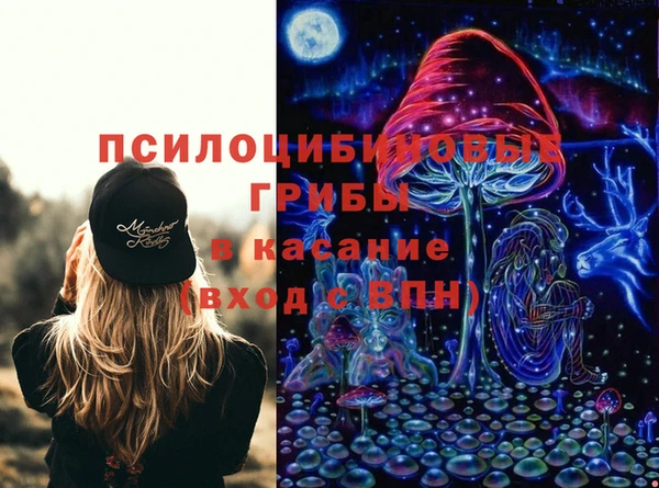 дурь Мегион