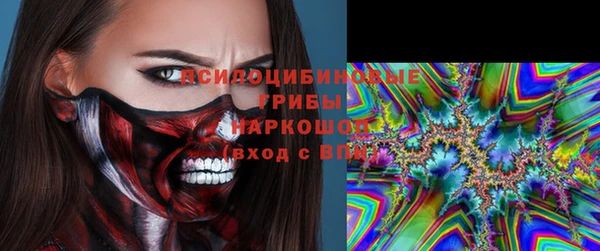 крисы Майский