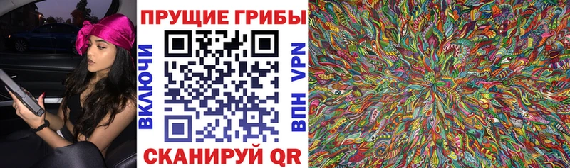 mega вход  Мосальск  Псилоцибиновые грибы мицелий 